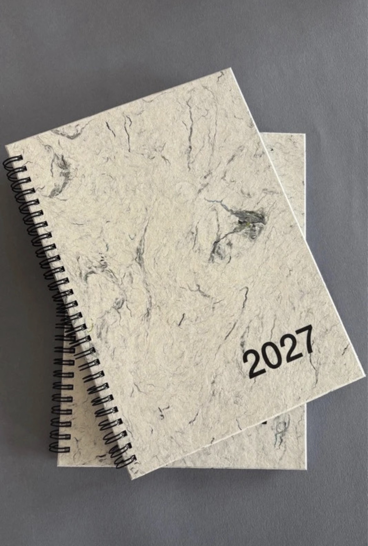 2027 WEEKLY PLANNER